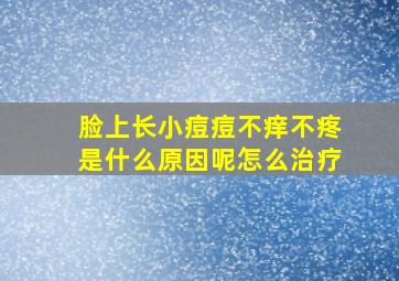 脸上长小痘痘不痒不疼是什么原因呢怎么治疗