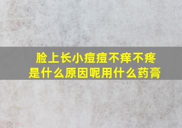 脸上长小痘痘不痒不疼是什么原因呢用什么药膏