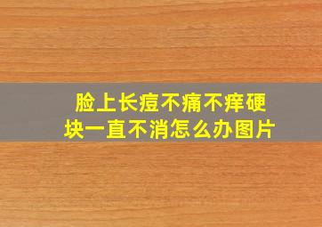 脸上长痘不痛不痒硬块一直不消怎么办图片