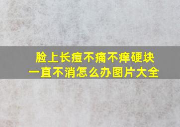 脸上长痘不痛不痒硬块一直不消怎么办图片大全