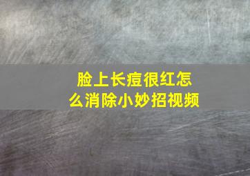 脸上长痘很红怎么消除小妙招视频