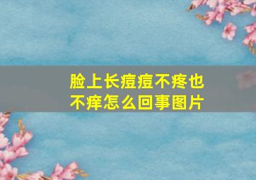 脸上长痘痘不疼也不痒怎么回事图片