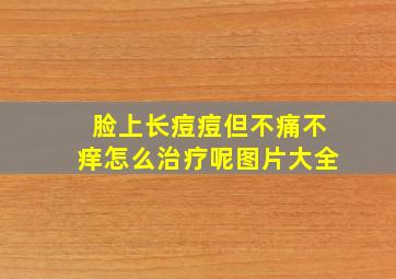 脸上长痘痘但不痛不痒怎么治疗呢图片大全