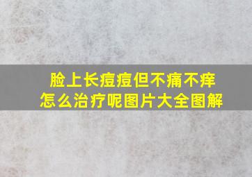 脸上长痘痘但不痛不痒怎么治疗呢图片大全图解