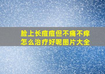 脸上长痘痘但不痛不痒怎么治疗好呢图片大全