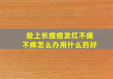 脸上长痘痘发红不痛不痒怎么办用什么药好