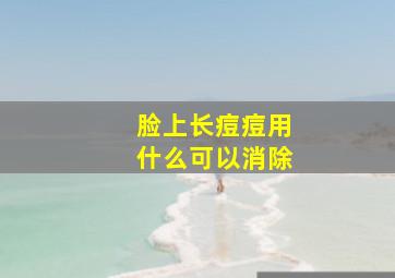 脸上长痘痘用什么可以消除