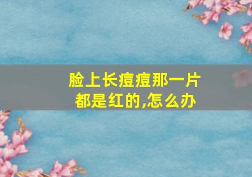 脸上长痘痘那一片都是红的,怎么办