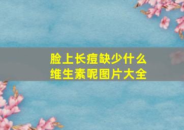 脸上长痘缺少什么维生素呢图片大全