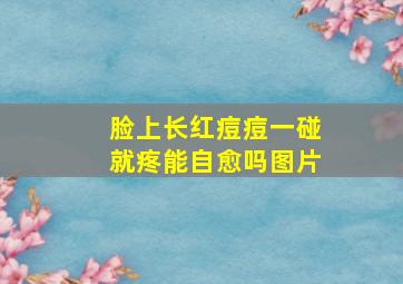 脸上长红痘痘一碰就疼能自愈吗图片