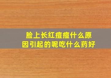 脸上长红痘痘什么原因引起的呢吃什么药好