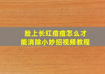 脸上长红痘痘怎么才能消除小妙招视频教程