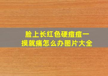 脸上长红色硬痘痘一摸就痛怎么办图片大全