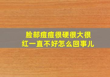 脸部痘痘很硬很大很红一直不好怎么回事儿