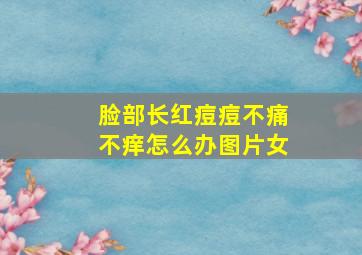 脸部长红痘痘不痛不痒怎么办图片女