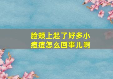 脸颊上起了好多小痘痘怎么回事儿啊