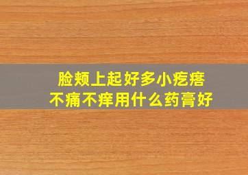 脸颊上起好多小疙瘩不痛不痒用什么药膏好