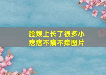 脸颊上长了很多小疙瘩不痛不痒图片