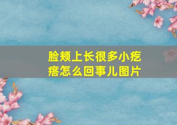 脸颊上长很多小疙瘩怎么回事儿图片