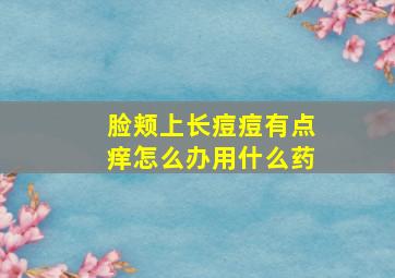 脸颊上长痘痘有点痒怎么办用什么药