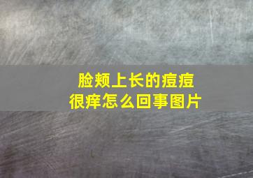 脸颊上长的痘痘很痒怎么回事图片