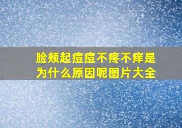 脸颊起痘痘不疼不痒是为什么原因呢图片大全