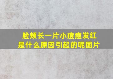 脸颊长一片小痘痘发红是什么原因引起的呢图片