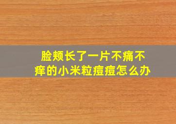 脸颊长了一片不痛不痒的小米粒痘痘怎么办