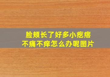 脸颊长了好多小疙瘩不痛不痒怎么办呢图片