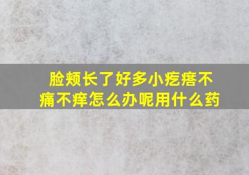 脸颊长了好多小疙瘩不痛不痒怎么办呢用什么药