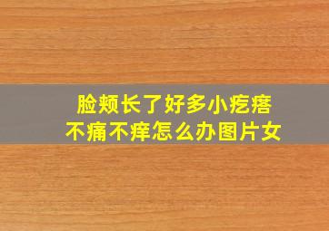 脸颊长了好多小疙瘩不痛不痒怎么办图片女