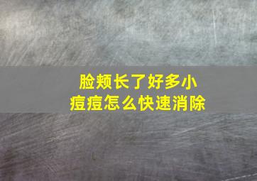 脸颊长了好多小痘痘怎么快速消除