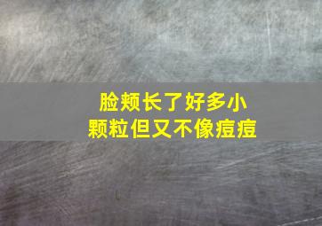 脸颊长了好多小颗粒但又不像痘痘