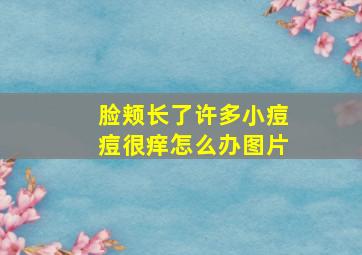 脸颊长了许多小痘痘很痒怎么办图片