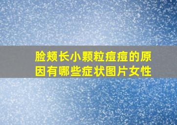 脸颊长小颗粒痘痘的原因有哪些症状图片女性