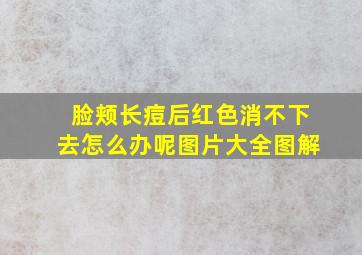 脸颊长痘后红色消不下去怎么办呢图片大全图解