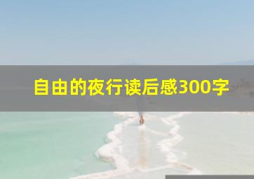 自由的夜行读后感300字