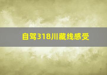 自驾318川藏线感受