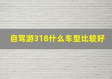 自驾游318什么车型比较好