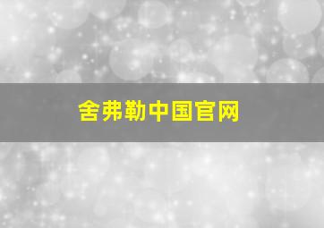 舍弗勒中国官网