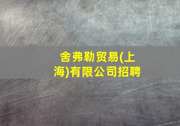 舍弗勒贸易(上海)有限公司招聘