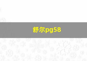 舒尔pg58