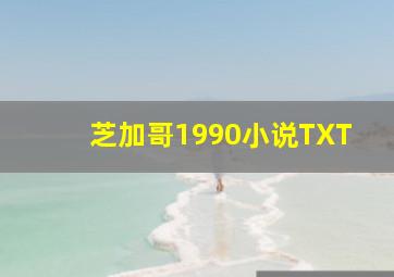 芝加哥1990小说TXT