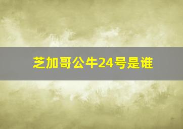 芝加哥公牛24号是谁