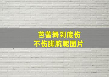 芭蕾舞到底伤不伤脚腕呢图片