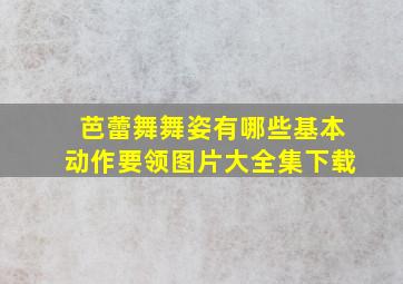 芭蕾舞舞姿有哪些基本动作要领图片大全集下载