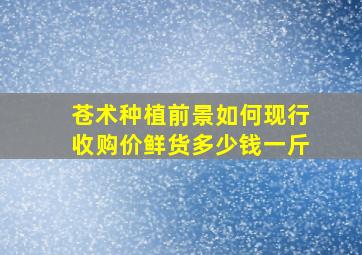 苍术种植前景如何现行收购价鲜货多少钱一斤