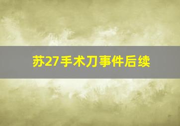 苏27手术刀事件后续