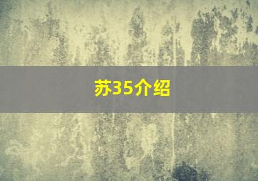 苏35介绍