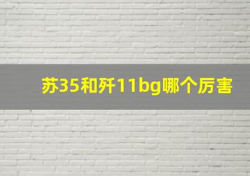 苏35和歼11bg哪个厉害